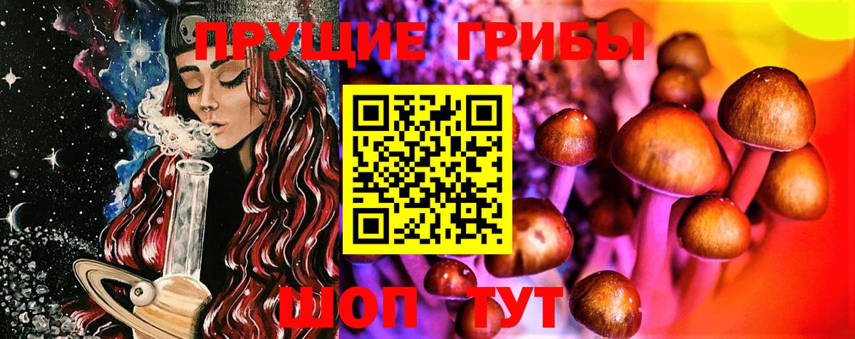 Псилоцибиновые грибы Cubensis  Вход с VPN  Балашов 