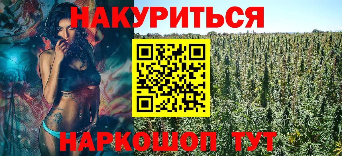 Марихуана план Балашов